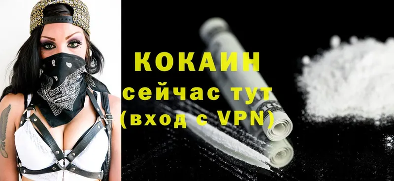 купить  цена  Кимовск  COCAIN Эквадор 